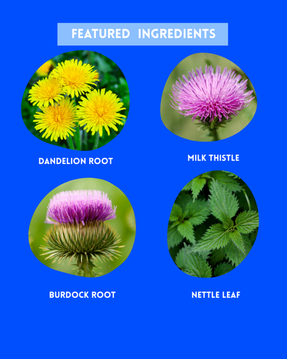 Clear Skin Cleanse Tea – Liver Support for Eczema & Inflammation